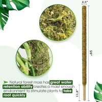 Duspro 59 Inches Nonbendable Pole For Big Plants Large Moss Pole For Plants Monstera Plant Stakes For Indoor Plants Monstera