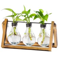 Marbrasse Plant Propagation Stations With Wooden Stand Desktop Plant Terrarium Holder Bulb Vase Glass Vase Container With Meta