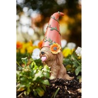 Original Doodle Gnome Garden Gnomes Outdoor Dog Statue Garden D Cor Cute Garden Sculptures Statues