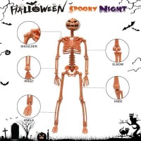 5 Packs Halloween Plastic Skeleton 16 Posable Skeleton Decoration Halloween Full Body Skeleton With Movable Joints Realisti