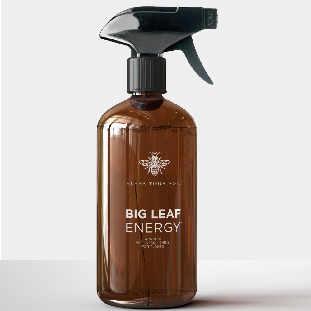 Bless Your Soil Big Leaf Energy Rtu Wellness Spray For Indoor Plants Organic Neem Oil Essential Oils 16Oz Glass Bottle