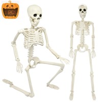 3Ft Halloween Skeleton 36 Full Body Halloween Skeleton With Movable Posable Joints Plastic Realistic Human Bones Prop For Ha