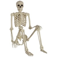 Party City Lifesize Skeleton Poseable 5Ft Full Size Skeleton Halloween Decor With Attached Cord For Hanging Halloween Deco