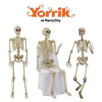 Party City Lifesize Skeleton Poseable 5Ft Full Size Skeleton Halloween Decor With Attached Cord For Hanging Halloween Deco