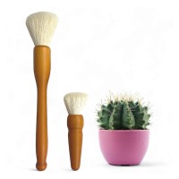 Southside Plant Cactus Succulent Plants Cleaning Brushes Wooden Handles Wsoft Goat Hair Bristles Garden Cleaning Tools G