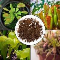 Carnivorous Plant Potting Soil Mix 4 Quarts Ideal Additive For Venus Fly Traps Sundews And Pitcher Plants