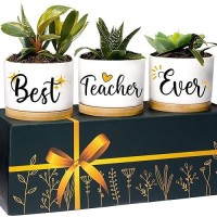 Teacher Planters Best Teacher Gifts From Student Succulent Pots Gift For Teacher New Teacher Gifts For Teachers Gifts Teache