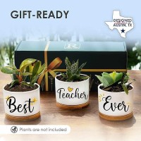 Teacher Planters Best Teacher Gifts From Student Succulent Pots Gift For Teacher New Teacher Gifts For Teachers Gifts Teache