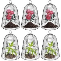 6 Pack Garden Chicken Wire Cloche 19