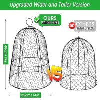 6 Pack Garden Chicken Wire Cloche 19