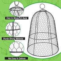 6 Pack Garden Chicken Wire Cloche 19