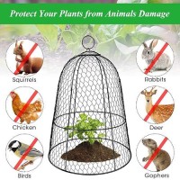 6 Pack Garden Chicken Wire Cloche 19