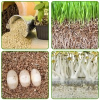 Halatool 2 Qt Horticulture Vermiculite Professional Soil Addictive Coarse Grade Vermiculite For Plants Gardening Mushrooms Seed