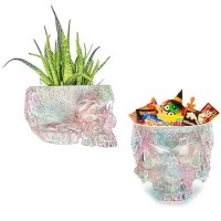 Halloween Skull Candy Dish Trick Or Treat Bowl Plant Planter Pot 6 Deep Polyresin Skulls Pot For Succulents Indoor Plants