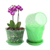 Kitypartsy Orchid Pot 5 Inch 6 Pack Orchid Pots With Holes And Saucers Clear Plastic Orchid Potsgreen Emerald