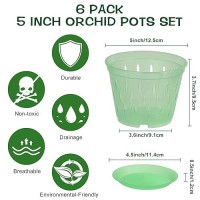 Kitypartsy Orchid Pot 5 Inch 6 Pack Orchid Pots With Holes And Saucers Clear Plastic Orchid Potsgreen Emerald