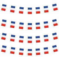 Wxtwk France Flags French Small Mini Pennant String Banner Flag Festival Decorations50 Feet 38 Flags