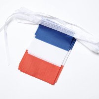 Wxtwk France Flags French Small Mini Pennant String Banner Flag Festival Decorations50 Feet 38 Flags