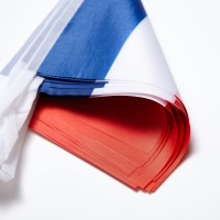 Wxtwk France Flags French Small Mini Pennant String Banner Flag Festival Decorations50 Feet 38 Flags