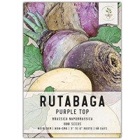 Seed Needs  Purple Top Rutabaga Seeds 800 Heirloom Seeds For Planting Brassica Napobrassica - Grow An Outdoor Vegetable Garden Non-Gmo & Untreated (1 Pack)