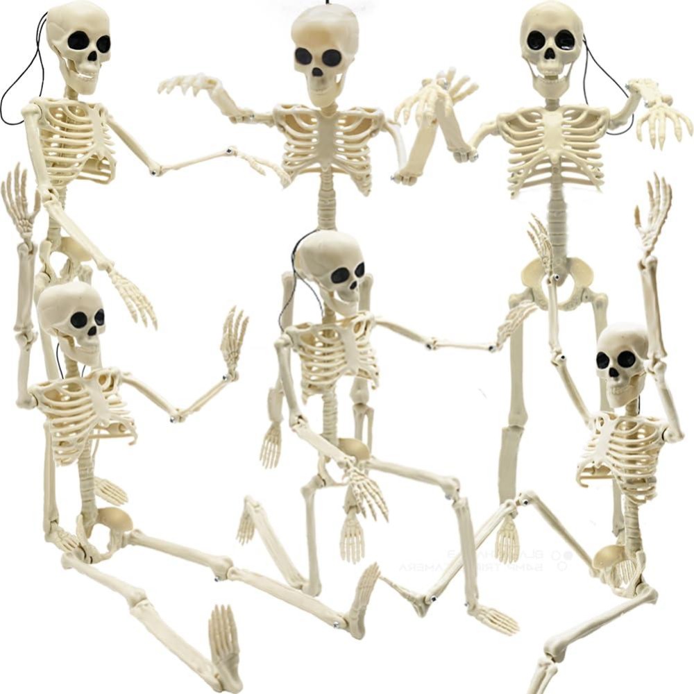 6Pcs Skeleton Halloween Decorations 16 In Full Body Poseable Small Skeleton Plastic Bones With Movable Posable Joints For Hallo