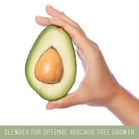 Avocado Tree Potting Soil Mix 12 Quarts For Germinating Growing And Repotting Avocado Plants