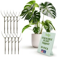 Twigs Ga Stackable Plant Support Stakes Climbing Plant Support Plant Support Structures Plant Stakes For Indoor Outdoor P