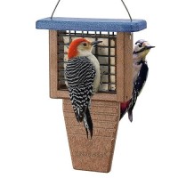 Kingsyard Recycled Plastic Suet Bird Feeder Tail Prop Suet Feeder For Outside Hanging Sturdy Durable Great For Woodpecker