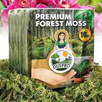 Duspro Dried Moss For Potted Plants Forest Orchid Moss For Potting Mix Sphagnum Potting Moss For Plants Indoor Real Moss Soil