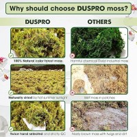 Duspro Dried Moss For Potted Plants Forest Orchid Moss For Potting Mix Sphagnum Potting Moss For Plants Indoor Real Moss Soil