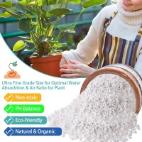 Legigo 2 Quarts Organic Horticultural Perlite For Plants Indoor Natural Horticultural Soil Additive Conditioner Mix For Improve