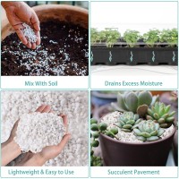 Legigo 2 Quarts Organic Horticultural Perlite For Plants Indoor Natural Horticultural Soil Additive Conditioner Mix For Improve