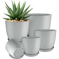 Utopia Home Plant Pots Indoor With Drainage 76665348 Inches Home Decor Flower Pots For Indoor Planter Pack Of 5 Pla