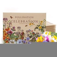 Bentley Seed Co Pollination Celebration Packets 25 Nongmo Noncoated Pollinator Wildflower Seed Packets For Planting Fl