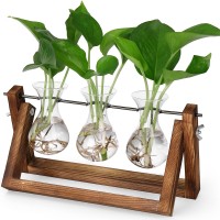 Yibot Plant Propagation Stations Plant Lover Gifts For Women Plant Terrarium With Wooden Stand Home Garden Office Decor 3 Glass