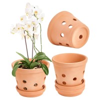 Vensovo Terracotta Orchid Pots With Holes And Saucers Clay Orchid Planter Pots For Repotting Plant Flower Pots For Orchid Ind