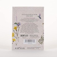 Bentley Seed Co Help Pollinators Kraft Hummingbird 25 Nongmo Noncoated Wildflower Seed Packets For Planting Flower See