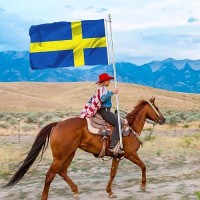 Tnpun Swedish Flag 3X5 Double Sided Sweden Flags For Outdoor Vivid Color Heavy Duty Polyester With 2 Brass Grommets 4 Rows Of St