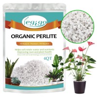 Legigo 4 Quarts Organic Horticultural Perlite For Plants Indoor Natural Horticultural Soil Additive Conditioner Mix For Improve