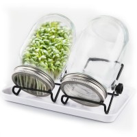 C Crystal Lemon Sprouting Jar Kit Sprouts Growing Kit With 32Oz Glass Sprouting Jars With Screen Lids Jar Stands Drip Tray