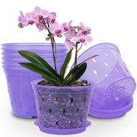 Kitypartsy 8 Pack 7 Inch Orchid Pots With Holes And Saucers Clear Plastic Orchid Pots Purple Amethyst