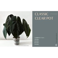 Karenplantsplants 9 Clear Plastic Nursery Pot Clear 10 Pack