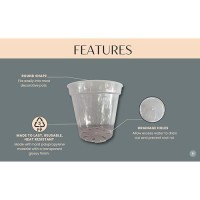 Karenplantsplants 9 Clear Plastic Nursery Pot Clear 10 Pack