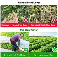 Plant Covers Freeze Frost Protection  50 Ft X 10 Ft Frost Cloth Plant Freeze Protection Cover  Frost Blankets For Outdoor Plants  Summer Overheat Prevention And Insects Barrier For Outdoor Plants