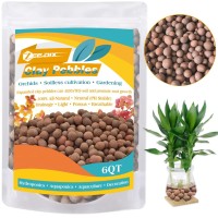 Zeedix 6Qt Expanded Clay Pebbles For Plants 4Mm16Mm Clay Aggregate Grow Media Natural Organic Clay Pebbles For Hydroponic Ga