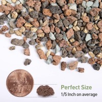 Gaspro 5Lbs Lava Rocks For Plants 15 Inch Pea Gravel For Succulent Pots Indoor Terrarium Cactus Bamboo Bonsai Tree Topd