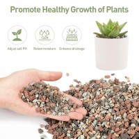 Gaspro 5Lbs Lava Rocks For Plants 15 Inch Pea Gravel For Succulent Pots Indoor Terrarium Cactus Bamboo Bonsai Tree Topd