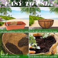 Zeedix 3Pcs 12 Inch Coconut Liners For Planters Round Hanging Basket Liners 100 Natural Coco Coir Basket Coco Replacement Line