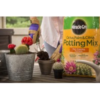 Miraclegro Cactus Palm Citrus Potting Mix 8 Qt 3Pack