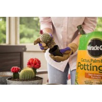 Miraclegro Cactus Palm Citrus Potting Mix 8 Qt 3Pack